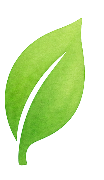 Watercolor green leaf